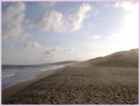 Tranquil Zimbali beach